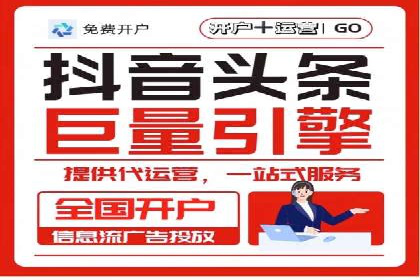 某某SEM服务公司成功案例：从数据出发的营销策略